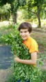 /album/cultivo-recoleccion-secado-envasado-propio-de-la-stevia/aq6fzcnuwq7sd4eofzg8yr4otyjm3zl5jp3cvbaufxco-jpg/